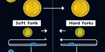 硬件钱包支持哪些币种？多币种存储方案