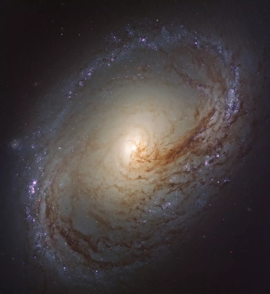 宇宙最强奥特曼，天蝎座喜提“银河系最大养老院”？数十万百亿岁恒星齐聚球状星团