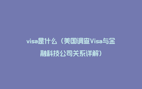 visa是什么（美国调查Visa与金融科技公司关系详解）