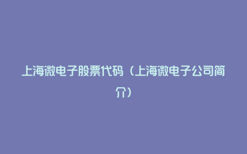 上海微电子股票代码（上海微电子公司简介）