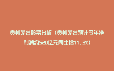 贵州茅台股票分析（贵州茅台预计今年净利润约520亿元同比增11.3%）