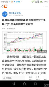 TCL集团股票有100多万