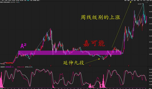 中国软件股票历史交易数据