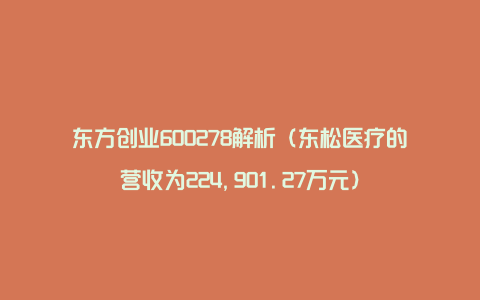 东方创业600278解析（东松医疗的营收为224,901.27万元）