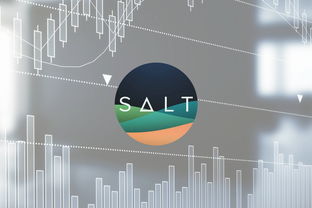 salt币是什么币？salt币交易平台和官网介绍