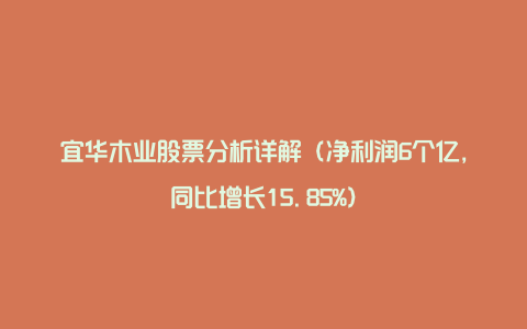 宜华木业股票分析详解（净利润6个亿，同比增长15.85%）