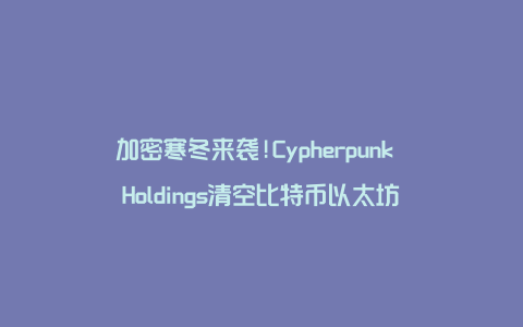 加密寒冬来袭!Cypherpunk Holdings清空比特币以太坊