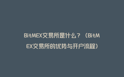 BitMEX交易所是什么？（BitMEX交易所的优势与开户流程）