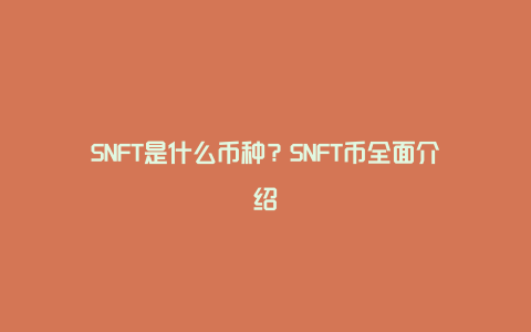 SNFT是什么币种？SNFT币全面介绍