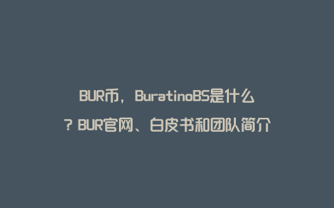 BUR币，BuratinoBS是什么？BUR官网、白皮书和团队简介