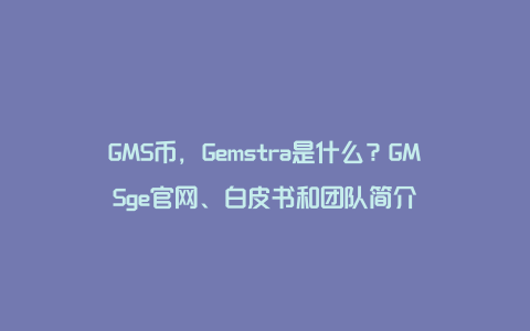 GMS币，Gemstra是什么？GMSge官网、白皮书和团队简介