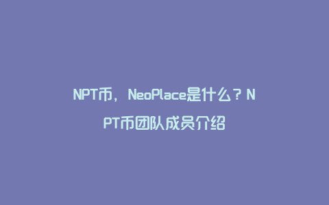 NPT币，NeoPlace是什么？NPT币团队成员介绍