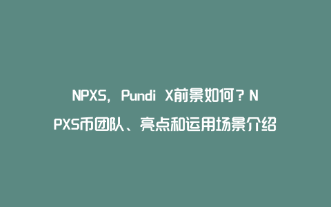 NPXS，Pundi X前景如何？NPXS币团队、亮点和运用场景介绍