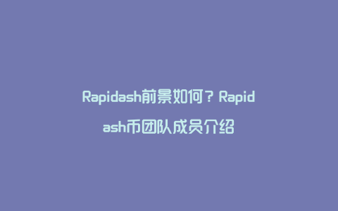 Rapidash前景如何？Rapidash币团队成员介绍