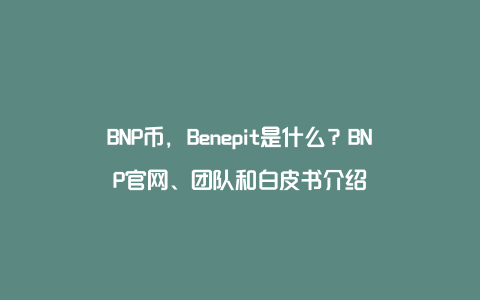 BNP币，Benepit是什么？BNP官网、团队和白皮书介绍