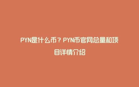 PYN是什么币？PYN币官网总量和项目详情介绍