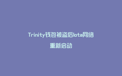 Trinity钱包被盗后Iota网络重新启动