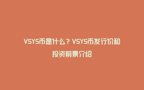 VSYS币是什么？VSYS币发行价和投资前景介绍