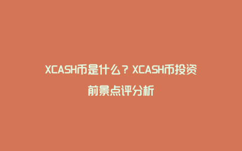 XCASH币是什么？XCASH币投资前景点评分析