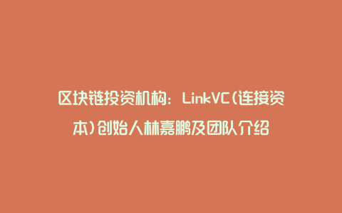 区块链投资机构：LinkVC(连接资本)创始人林嘉鹏及团队介绍