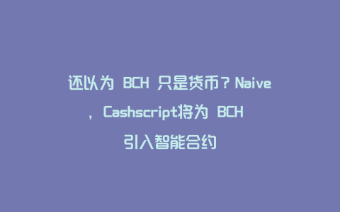 还以为 BCH 只是货币？Naive，Cashscript将为 BCH 引入智能合约