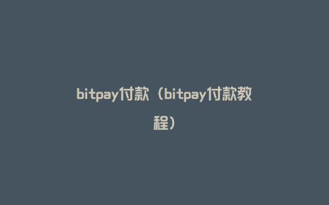 bitpay付款（bitpay付款教程）