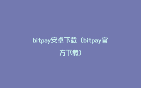 bitpay安卓下载（bitpay官方下载）