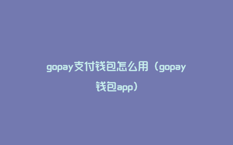 gopay支付钱包怎么用（gopay钱包app）