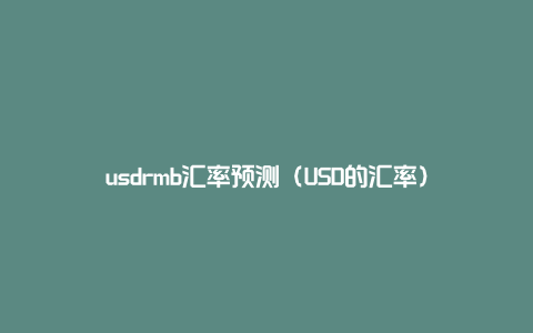 usdrmb汇率预测（USD的汇率）
