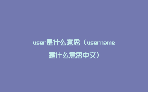 user是什么意思（username是什么意思中文）