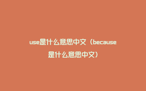 use是什么意思中文（because是什么意思中文）