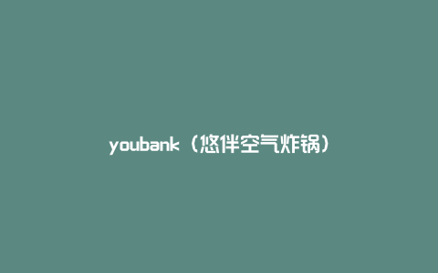 youbank（悠伴空气炸锅）