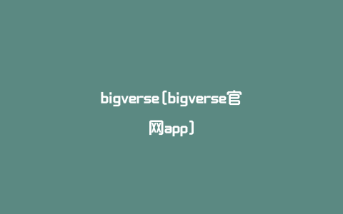 bigverse[bigverse官网app]