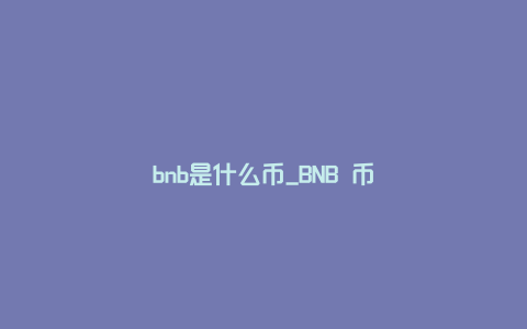 bnb是什么币_BNB 币