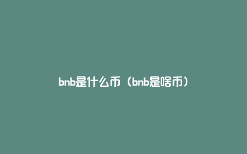bnb是什么币（bnb是啥币）