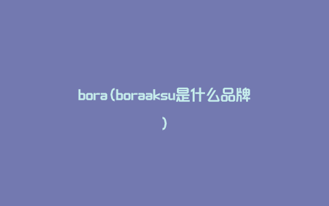 bora(boraaksu是什么品牌)