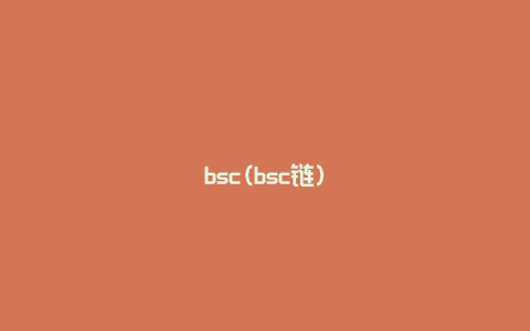 bsc(bsc链)