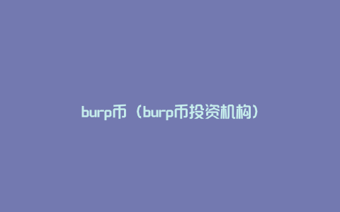 burp币（burp币投资机构）