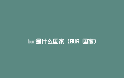 bur是什么国家（BUR 国家）