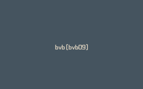 bvb[bvb09]