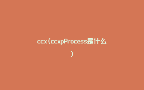 ccx(ccxpProcess是什么)