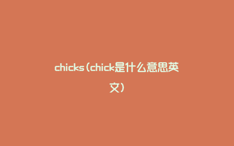 chicks(chick是什么意思英文)