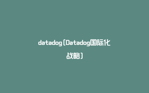 datadog[Datadog国际化战略]