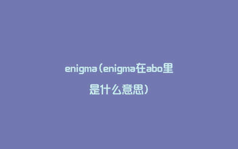 enigma(enigma在abo里是什么意思)