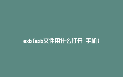 exb(exb文件用什么打开 手机)