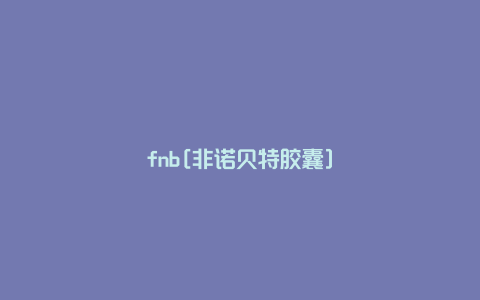 fnb[非诺贝特胶囊]