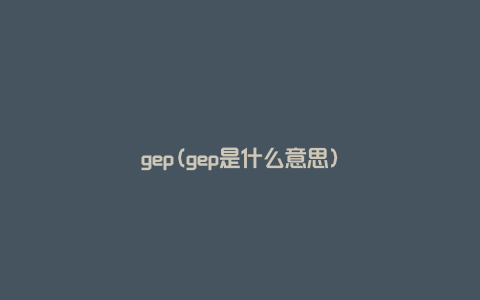 gep(gep是什么意思)