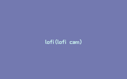 lofi(lofi cam)