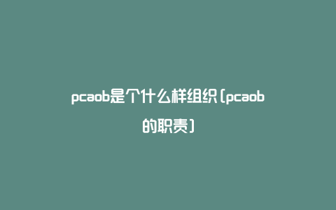 pcaob是个什么样组织[pcaob的职责]