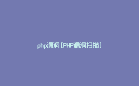 php漏洞[PHP漏洞扫描]